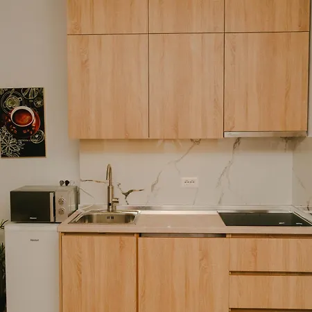 公寓 Flat In Heart Of 地拉那